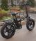 Электровелосипед Eko-bike Stinger F1 500W 48V/12Ah